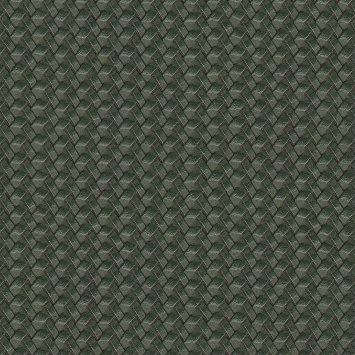 Greenwich_Spruce