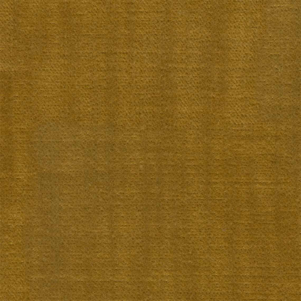 Griffin_Natural_Forms