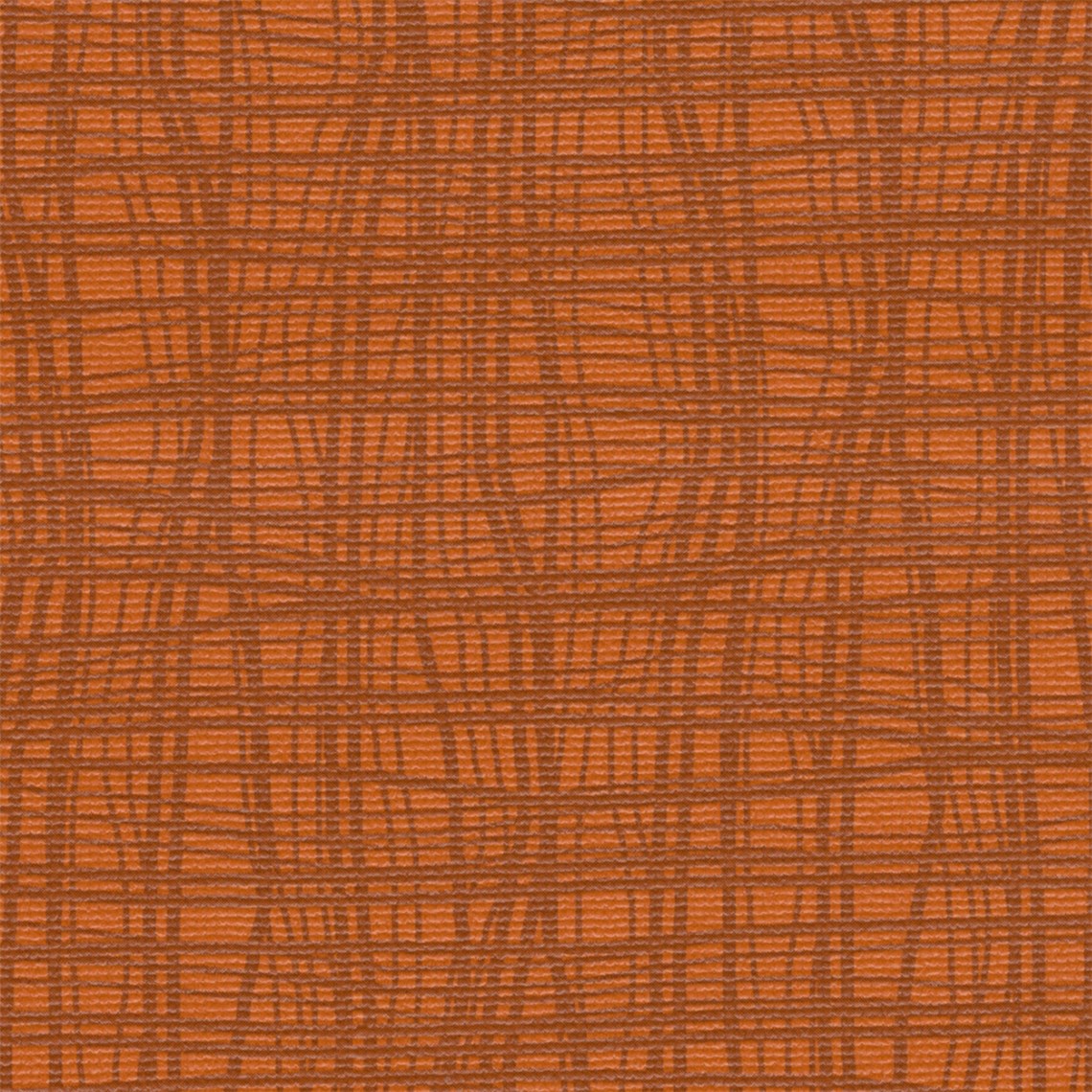 Haven_Tangerine