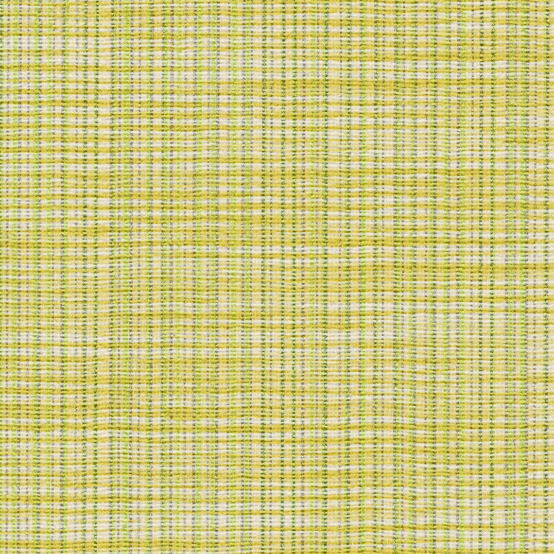 Hint_Citrus