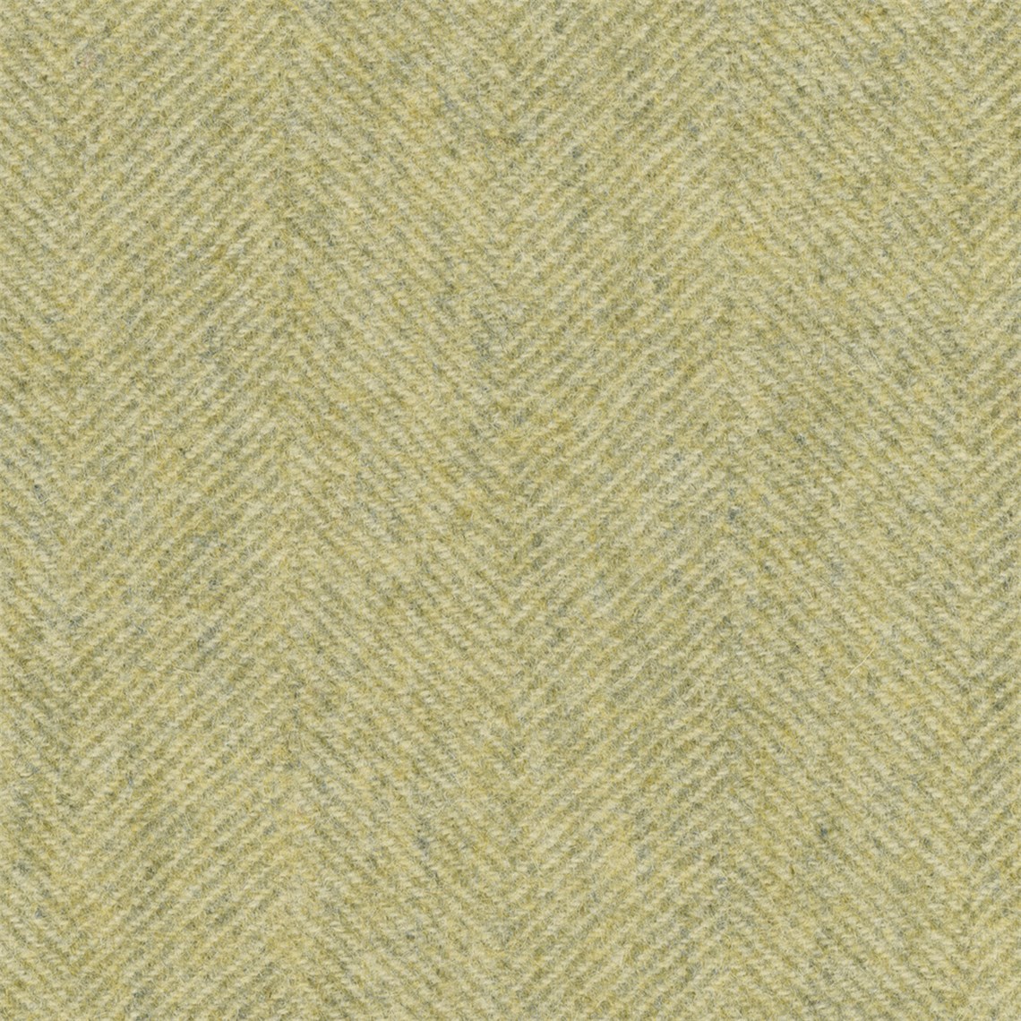 Holloway_Lime