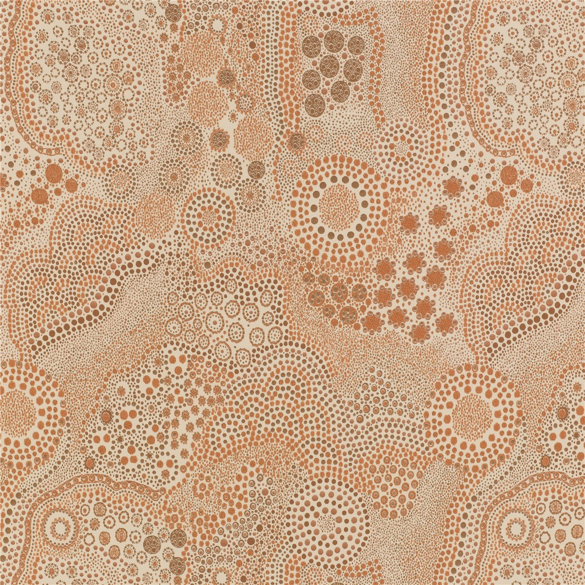 Laguna_Coral