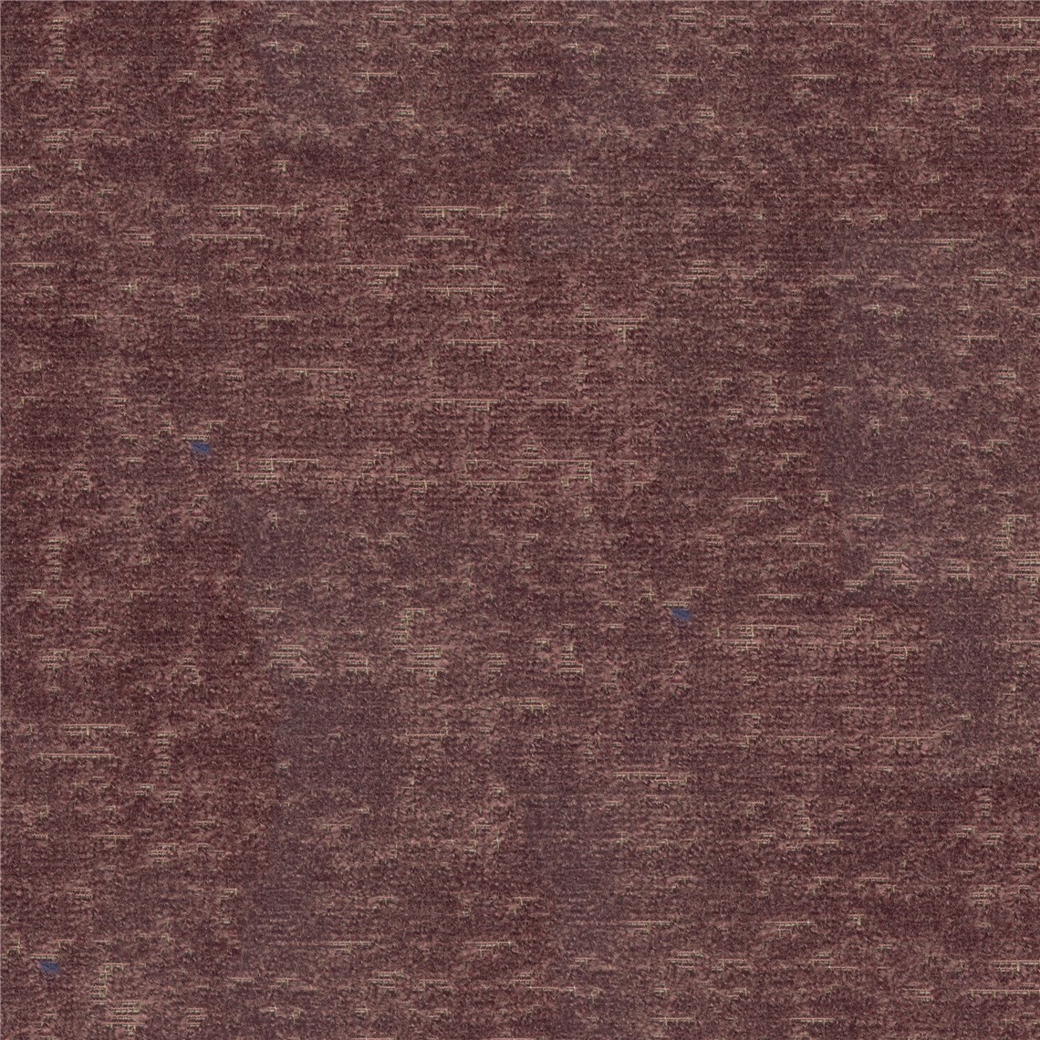 Larkspur_Pinot