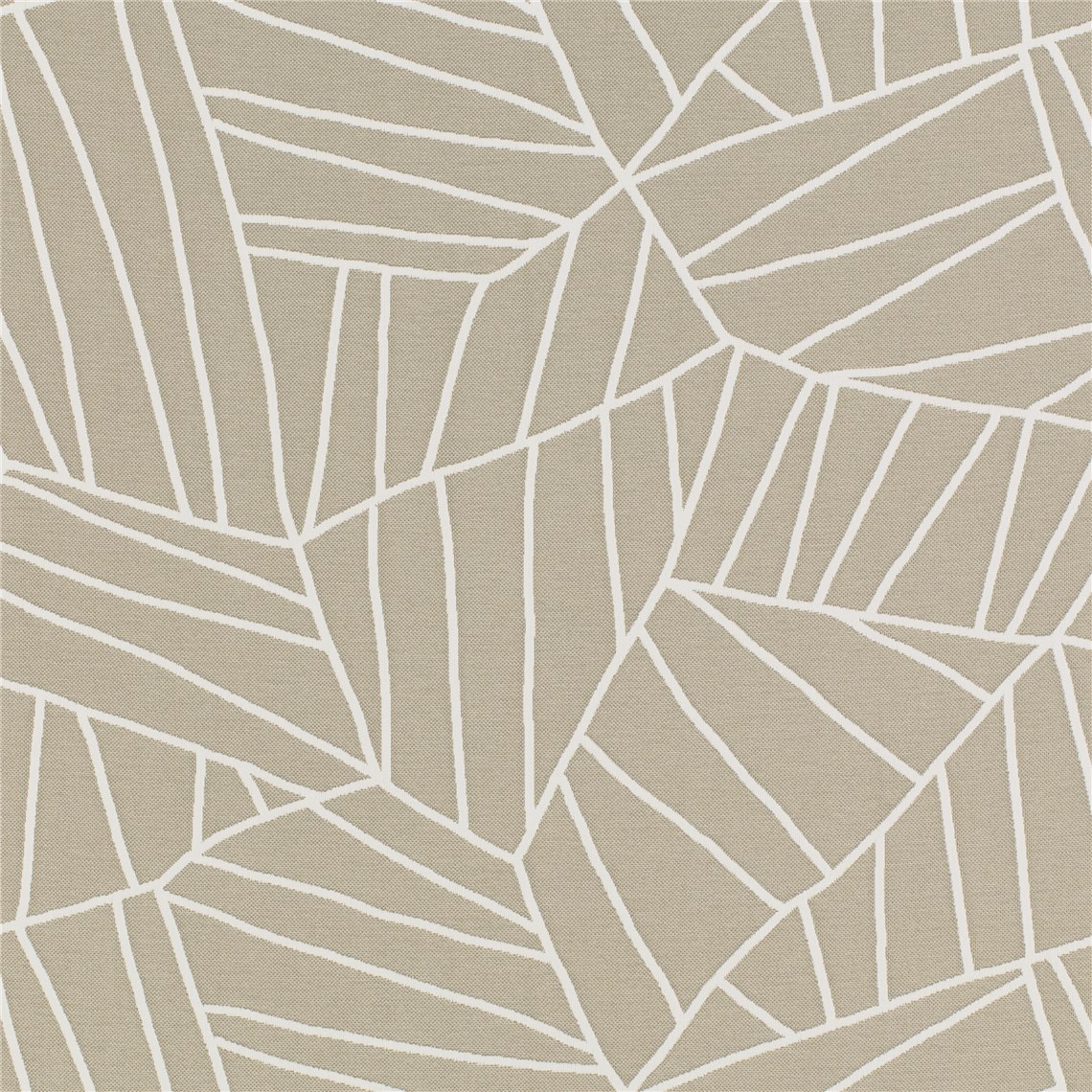 Las_Palmas_Mushroom