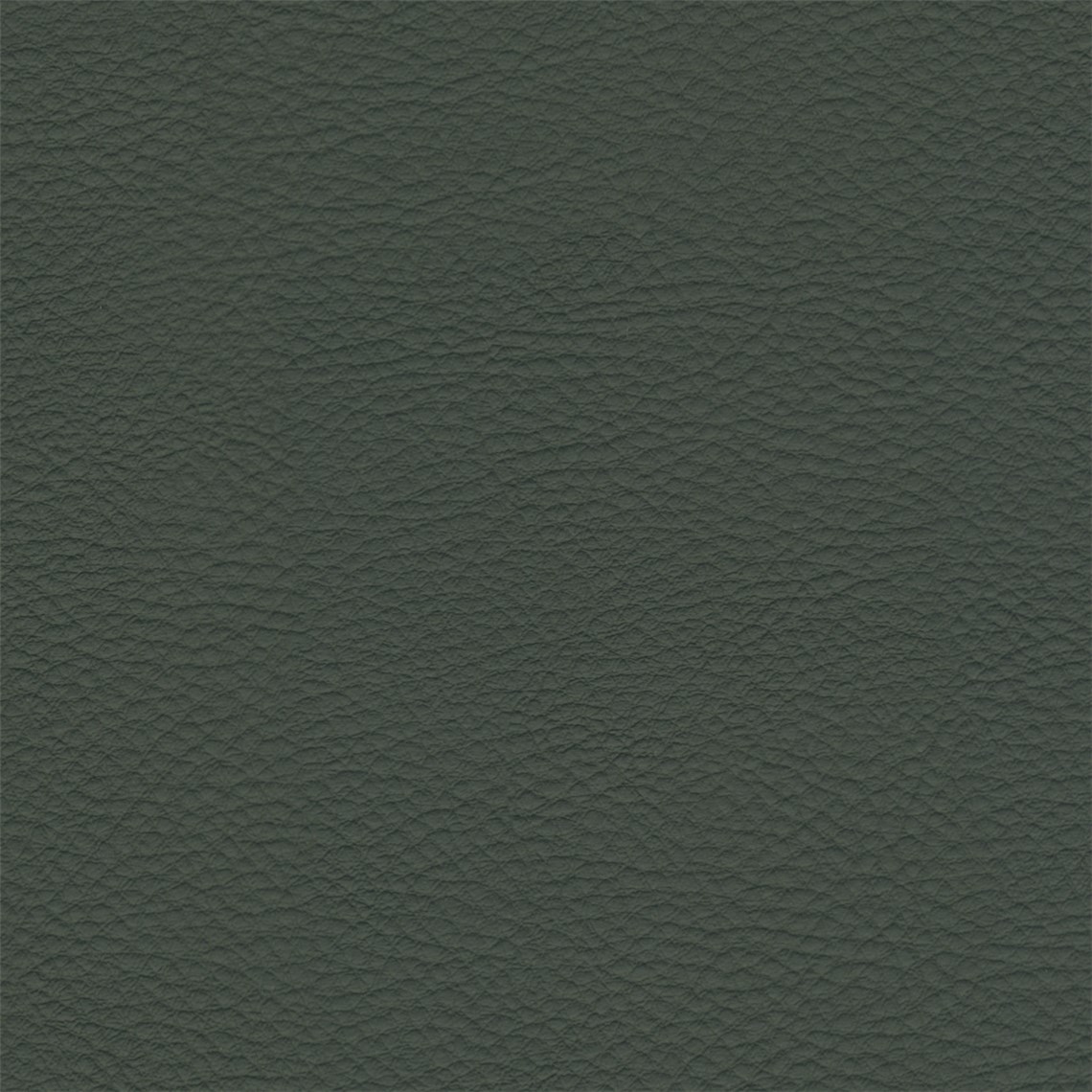 Leatherly_Blue_Oak