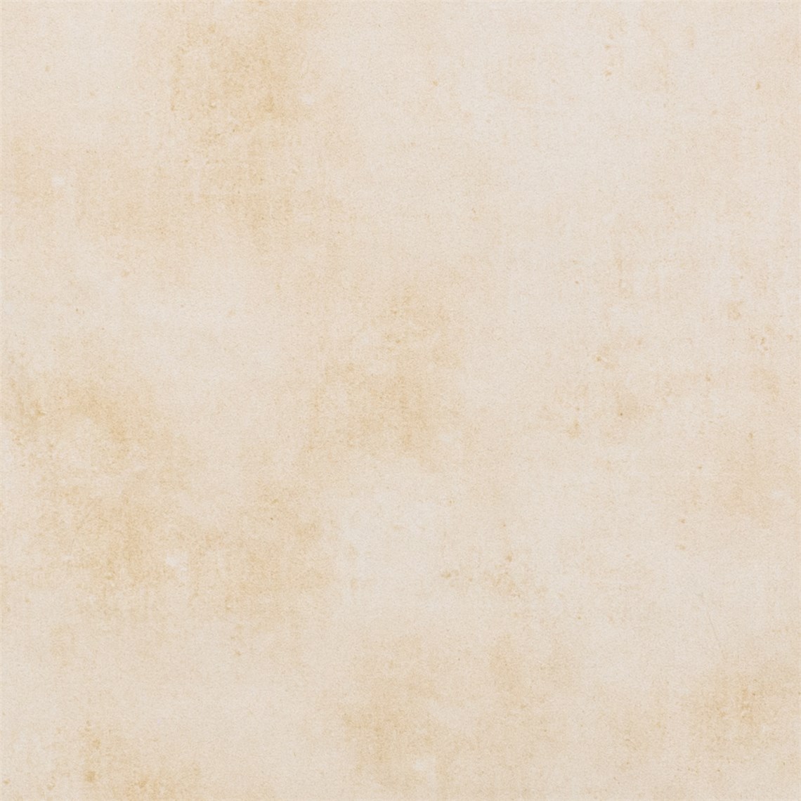 Logoro_Sand_Dollar