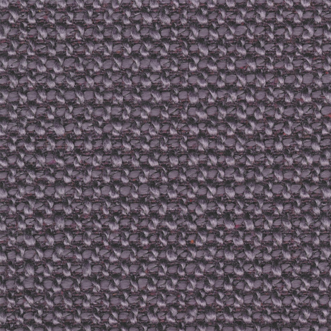 Lombard_Purple