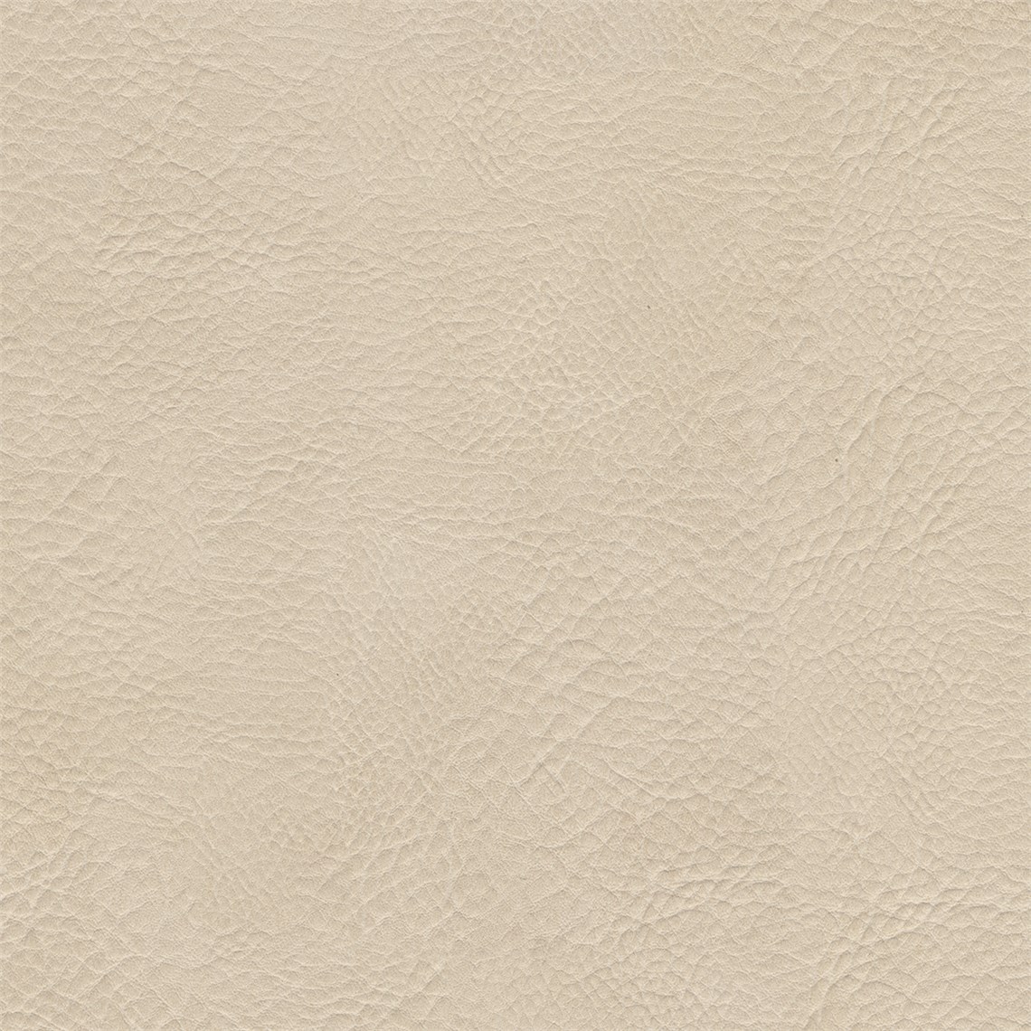 Lone_Star_Almond