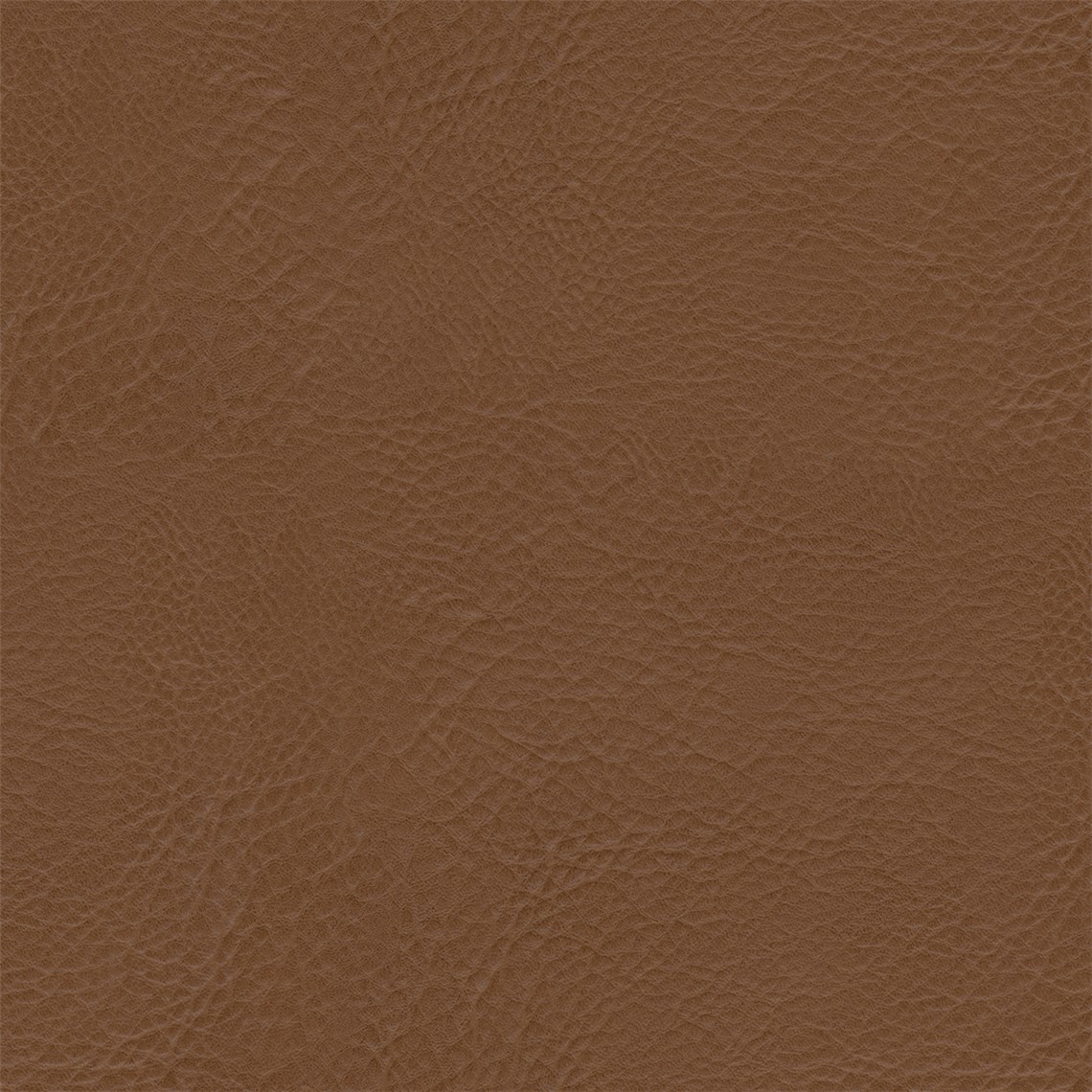 Lone_Star_Chestnut