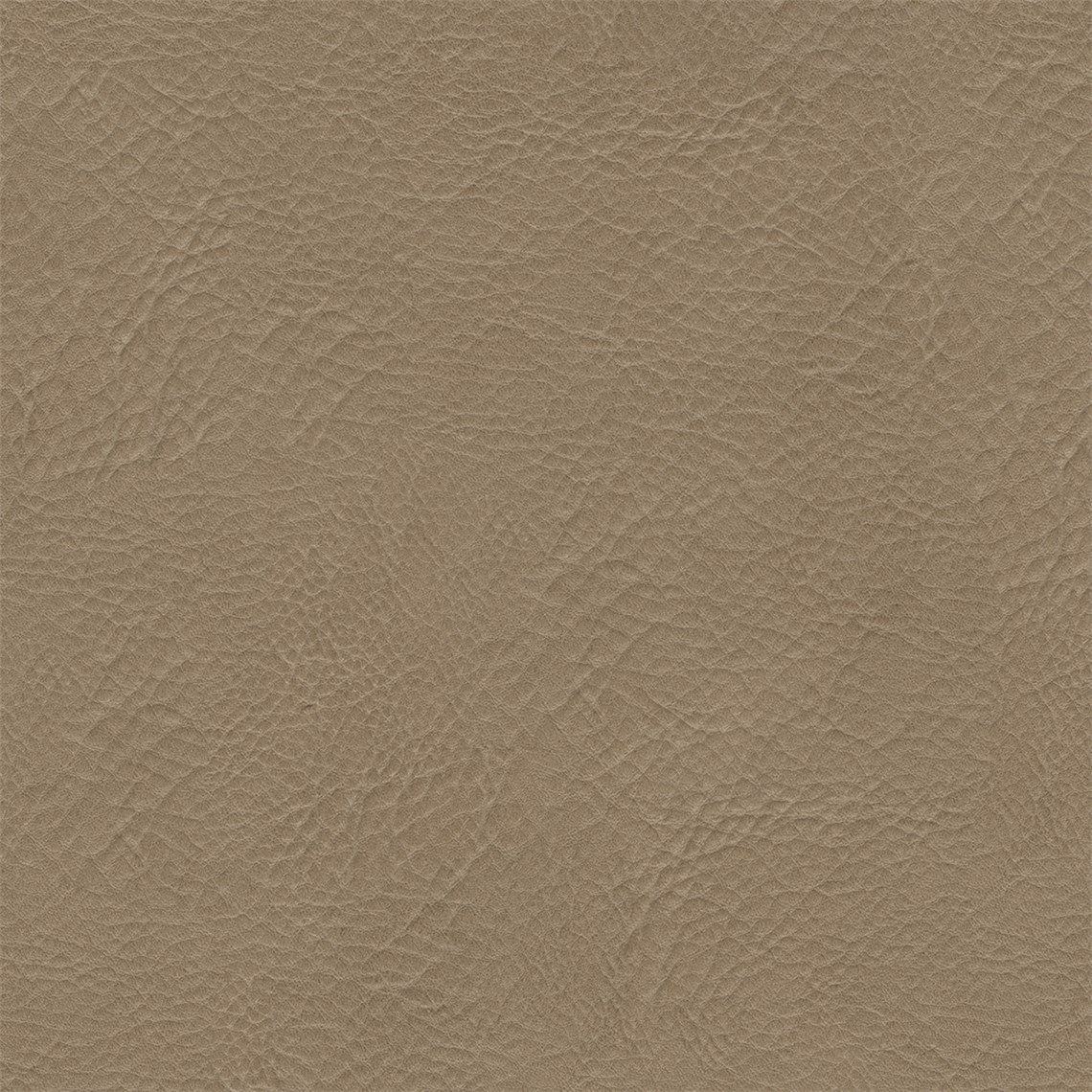 Lone_Star_Mushroom
