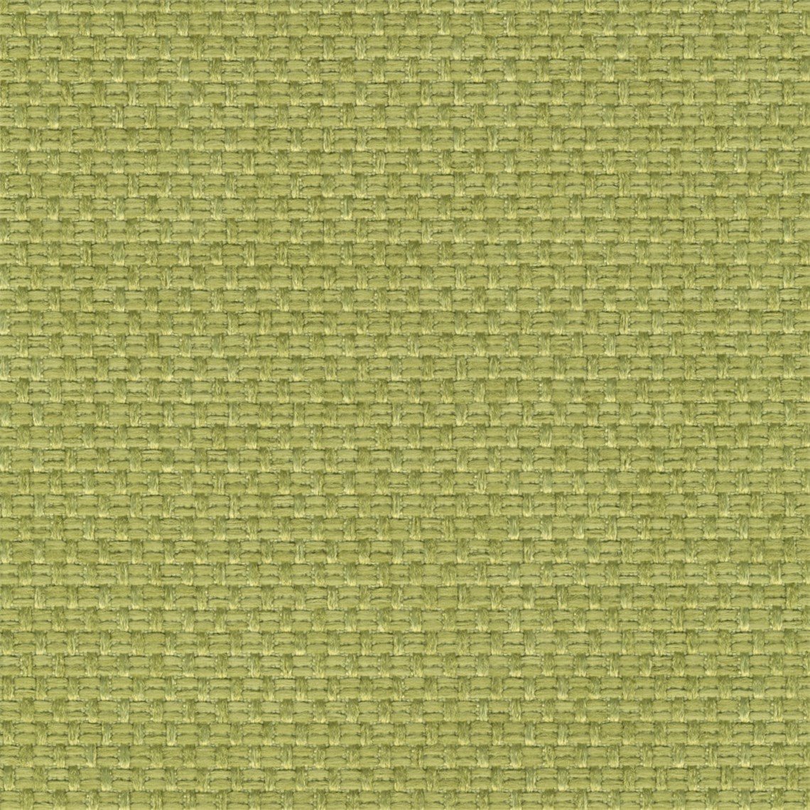 Loom_Fern