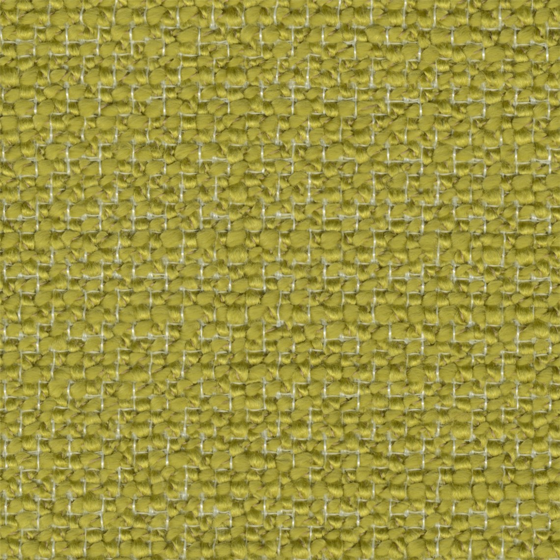 Merchant_Kiwi
