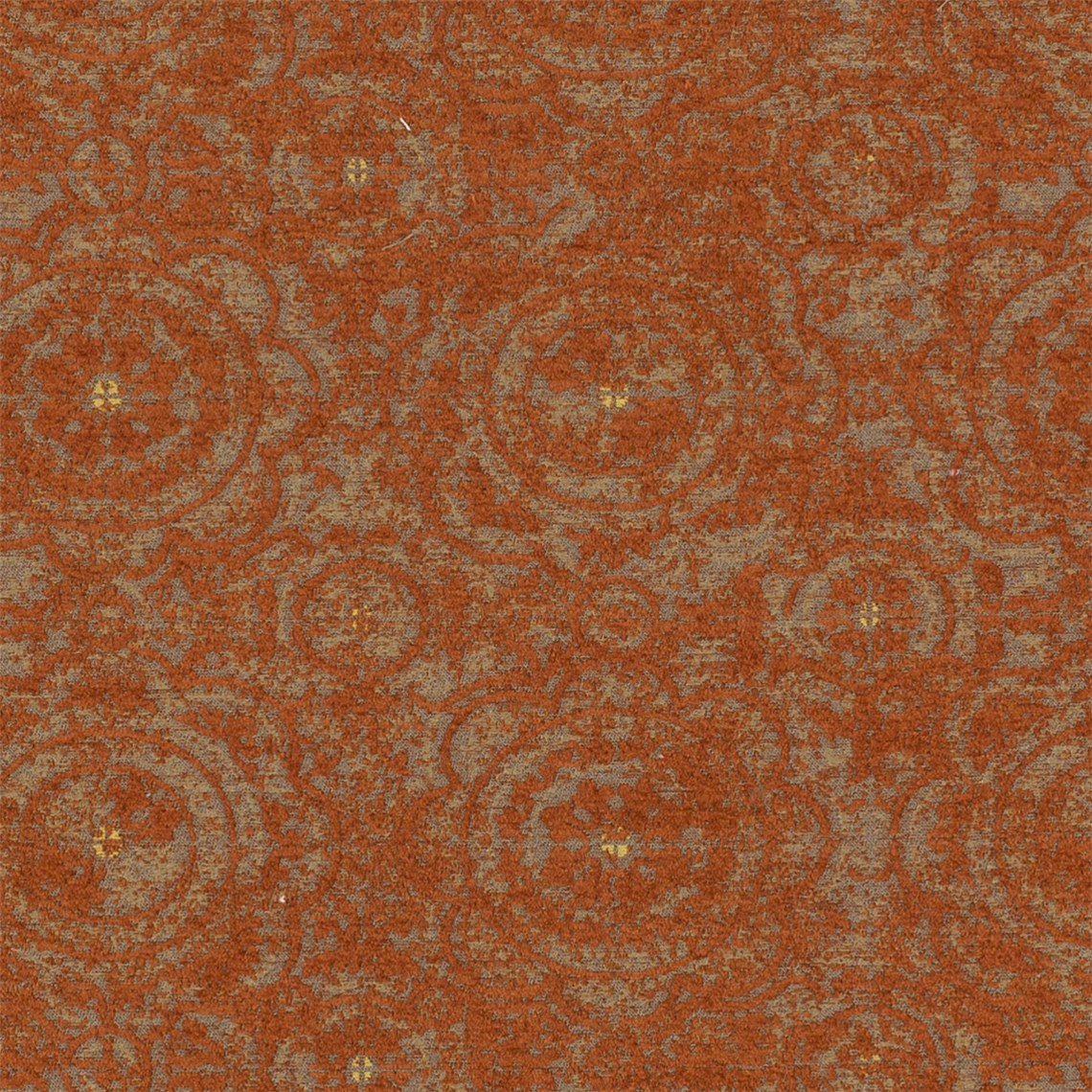 Monarchy_Orange