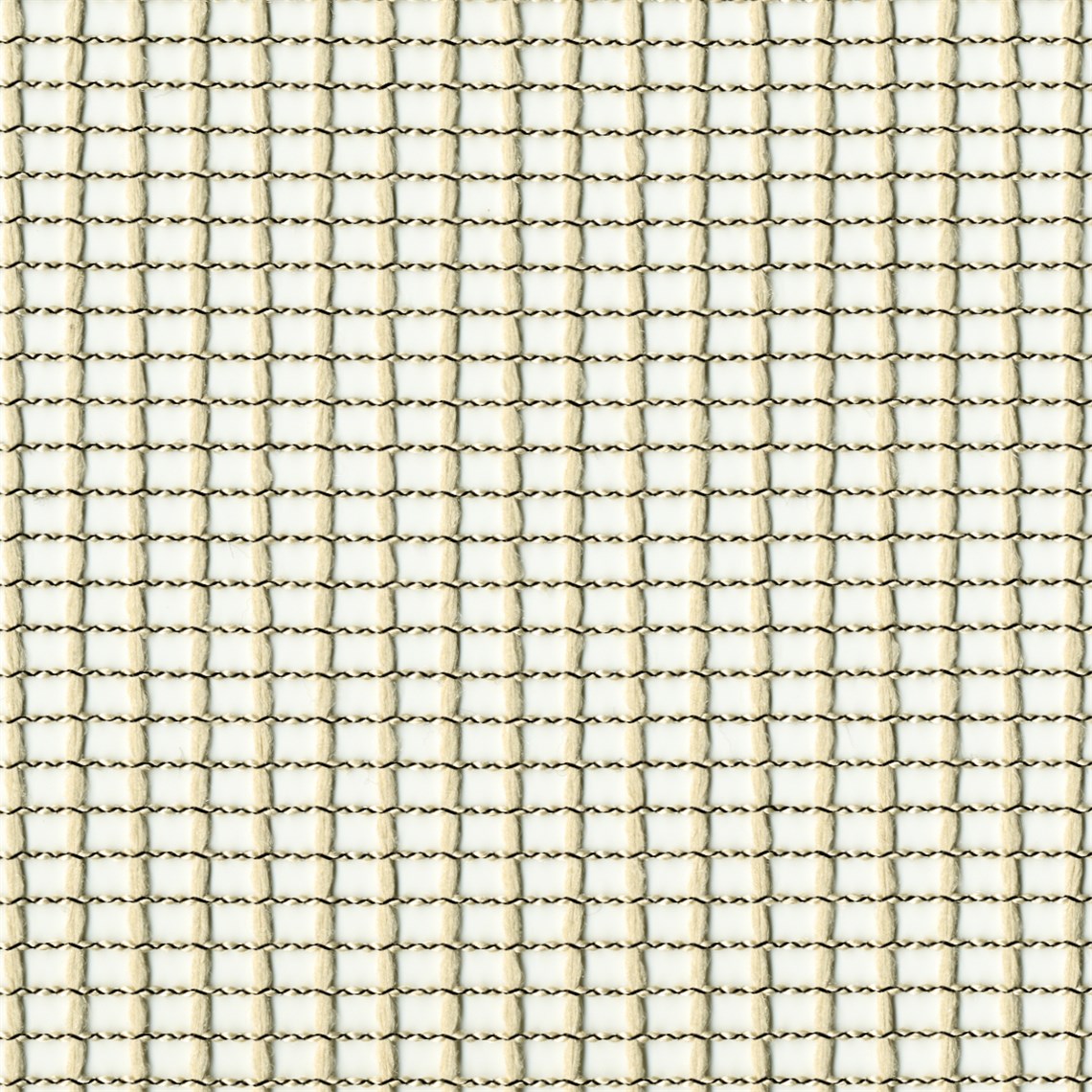 Nexus_Tropic