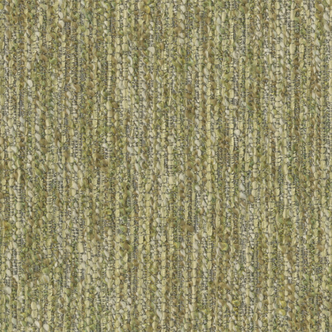 Nourish_Celery