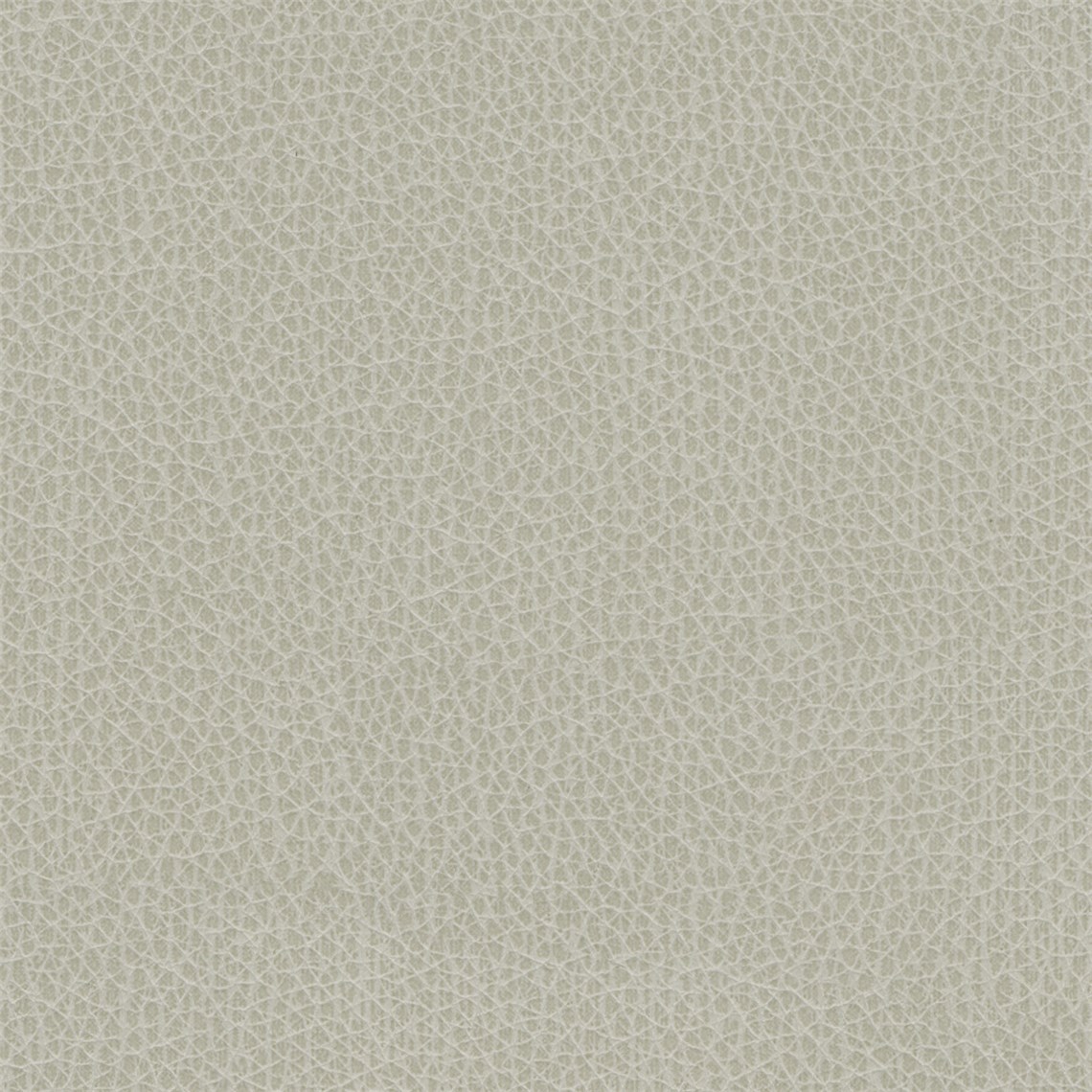Percheron_Horizon