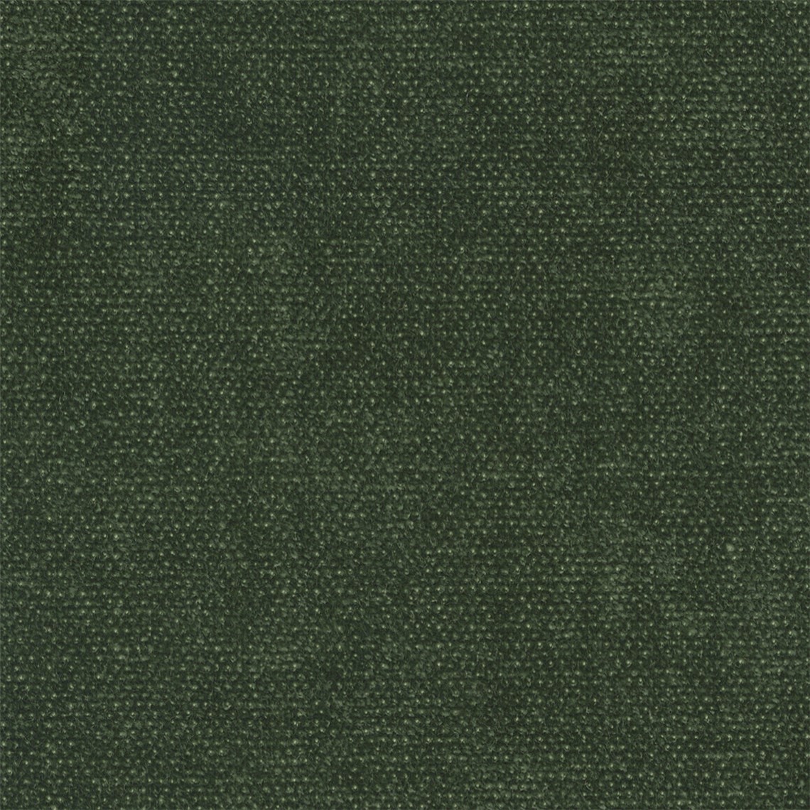 Piazza_Forest