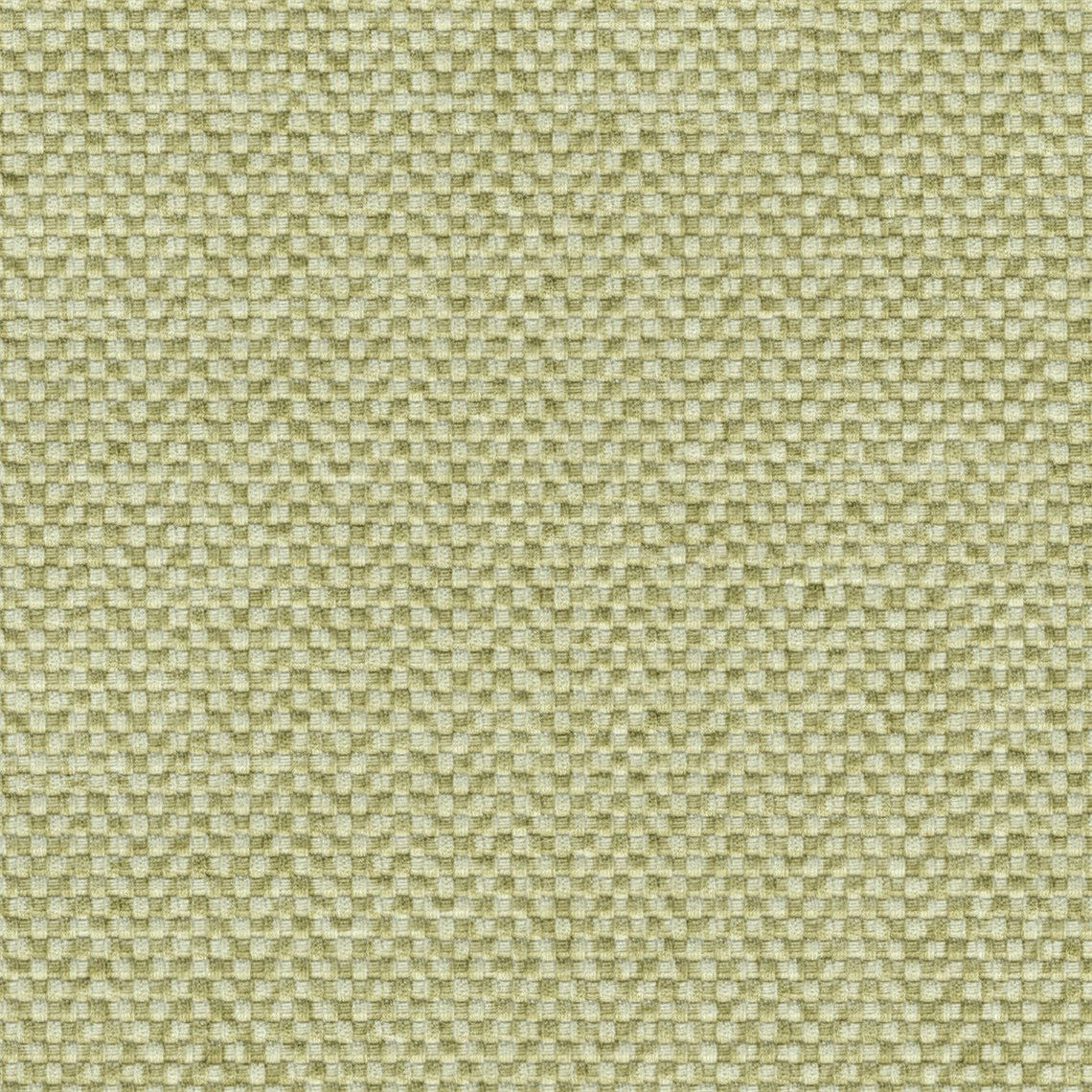 Poplin_Limeade