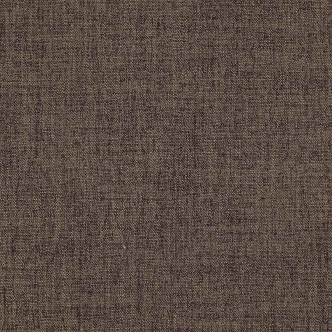 Prestige_Cocoa_Bean