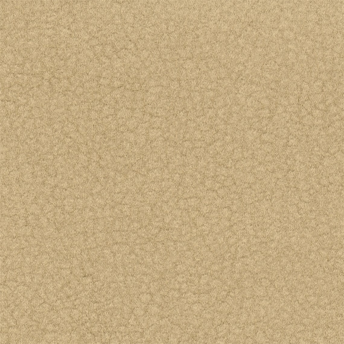 Purechic_Camel