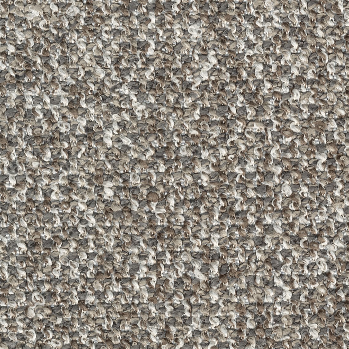 Purecurlicue_Fossil