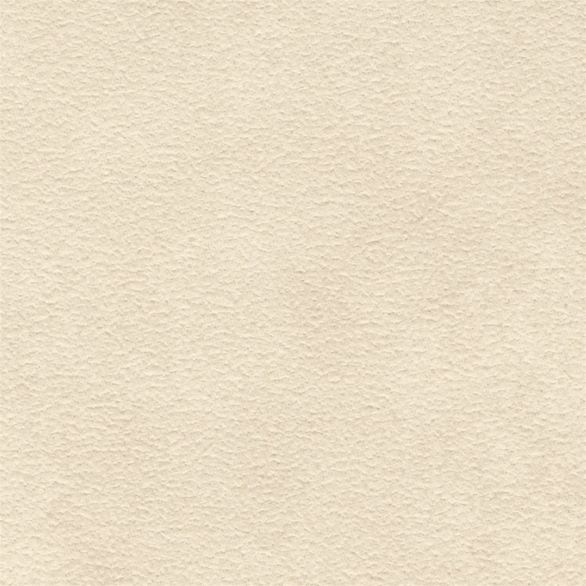 Purenubuck_Birch