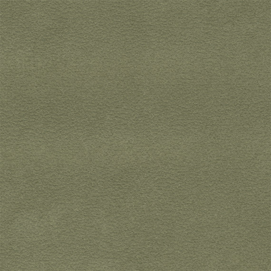 Purenubuck_Evergreen