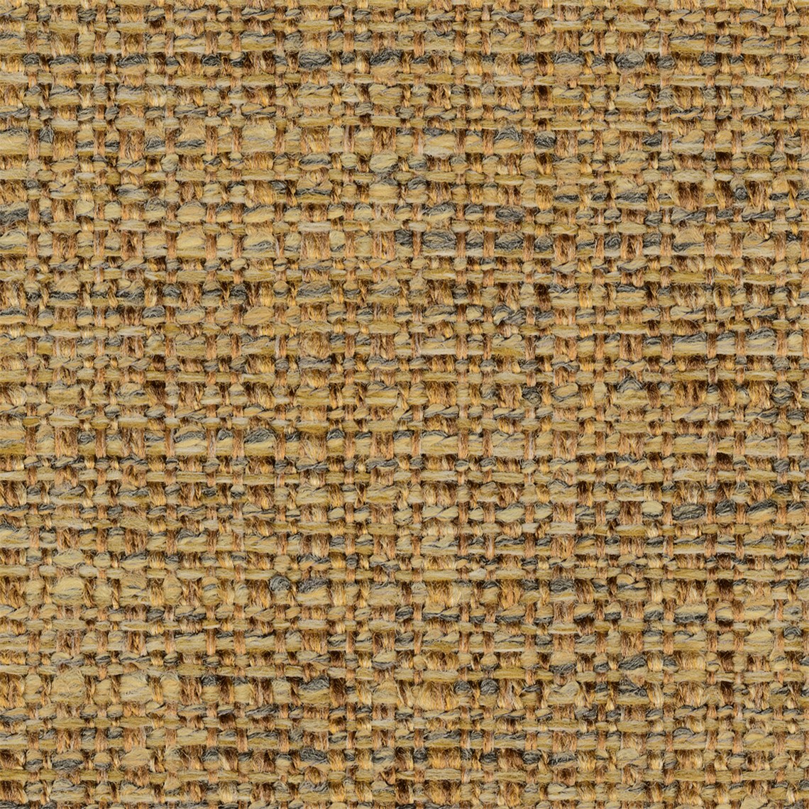 Pureplait_Dijon