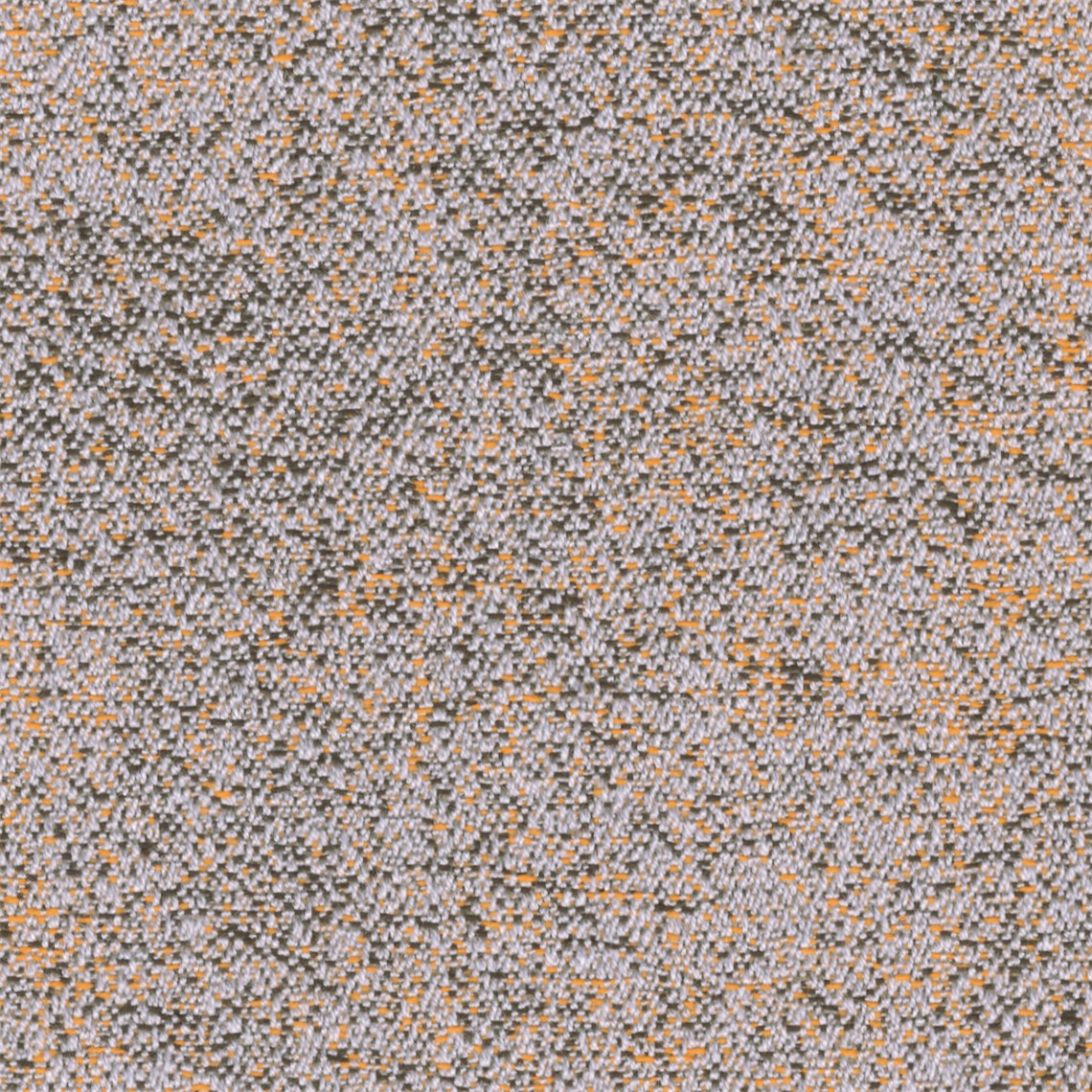 Reef_Conch