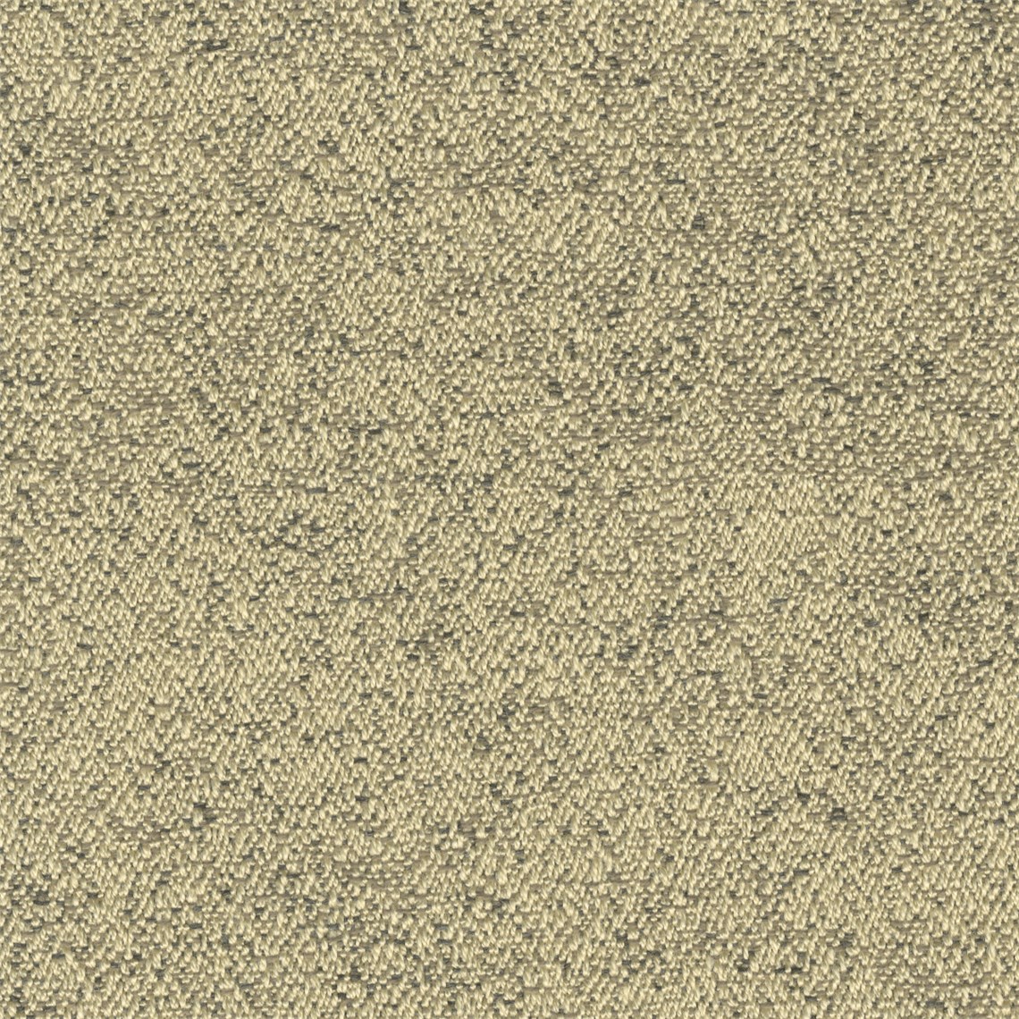 Reef_Kelp