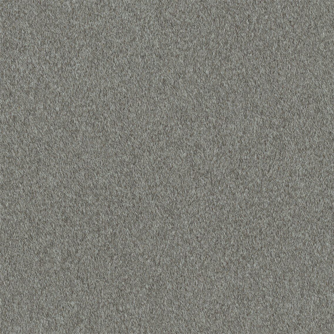 Reel_Alpaca_Grey