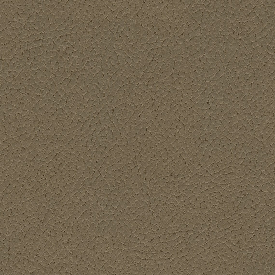 Reel_Leather_Mare