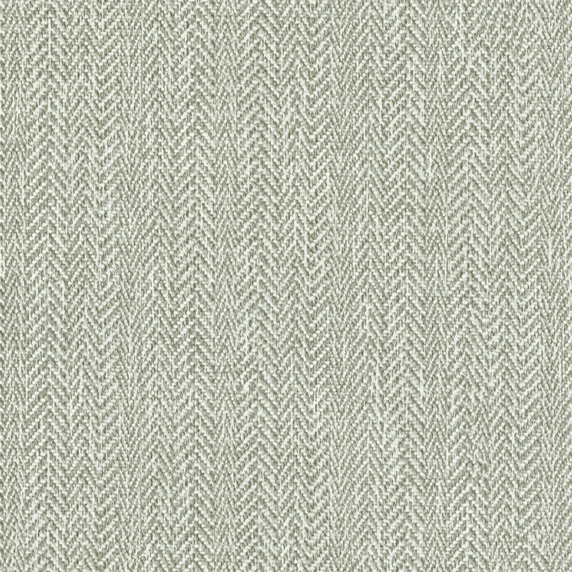 Regent_Oat