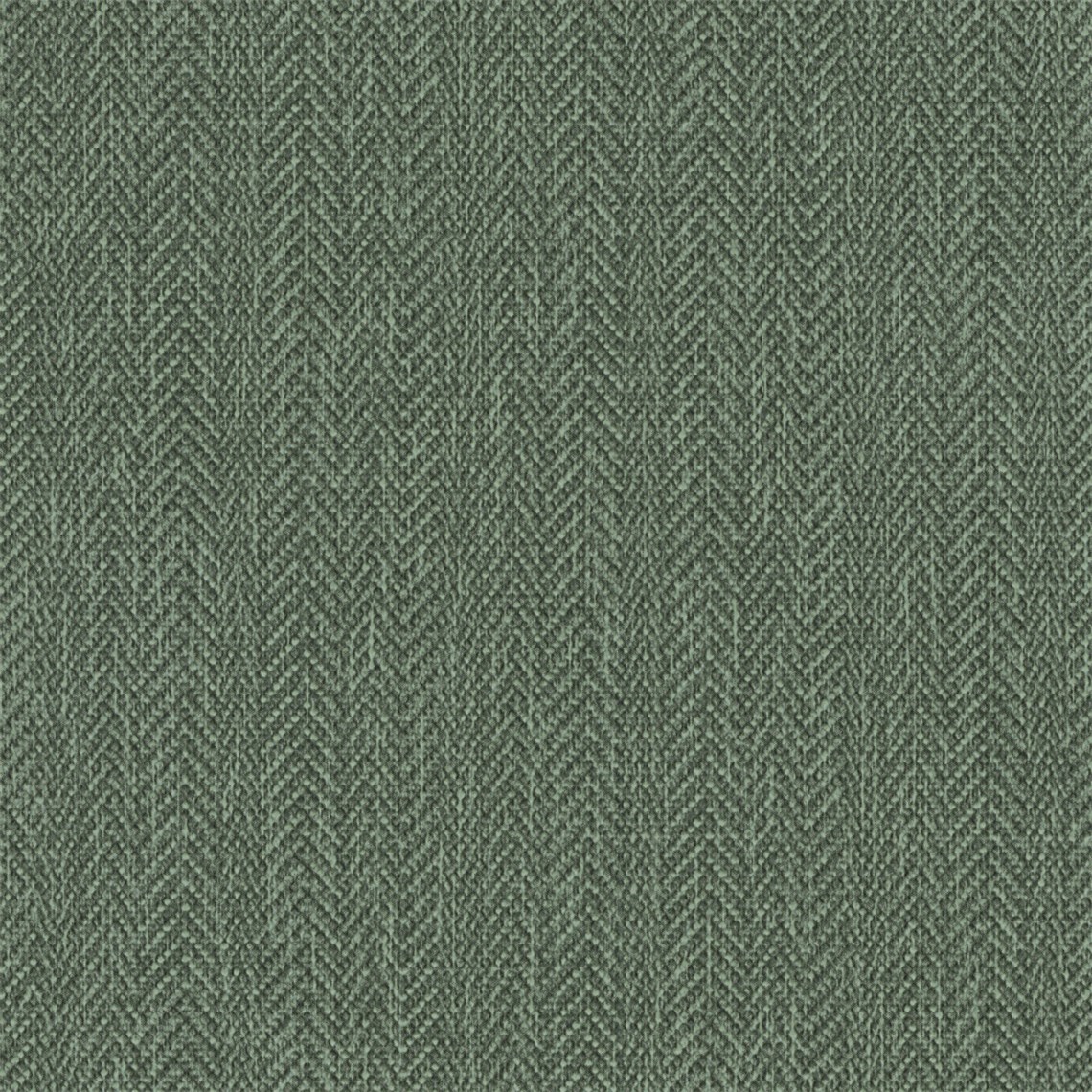 Regent_Pine