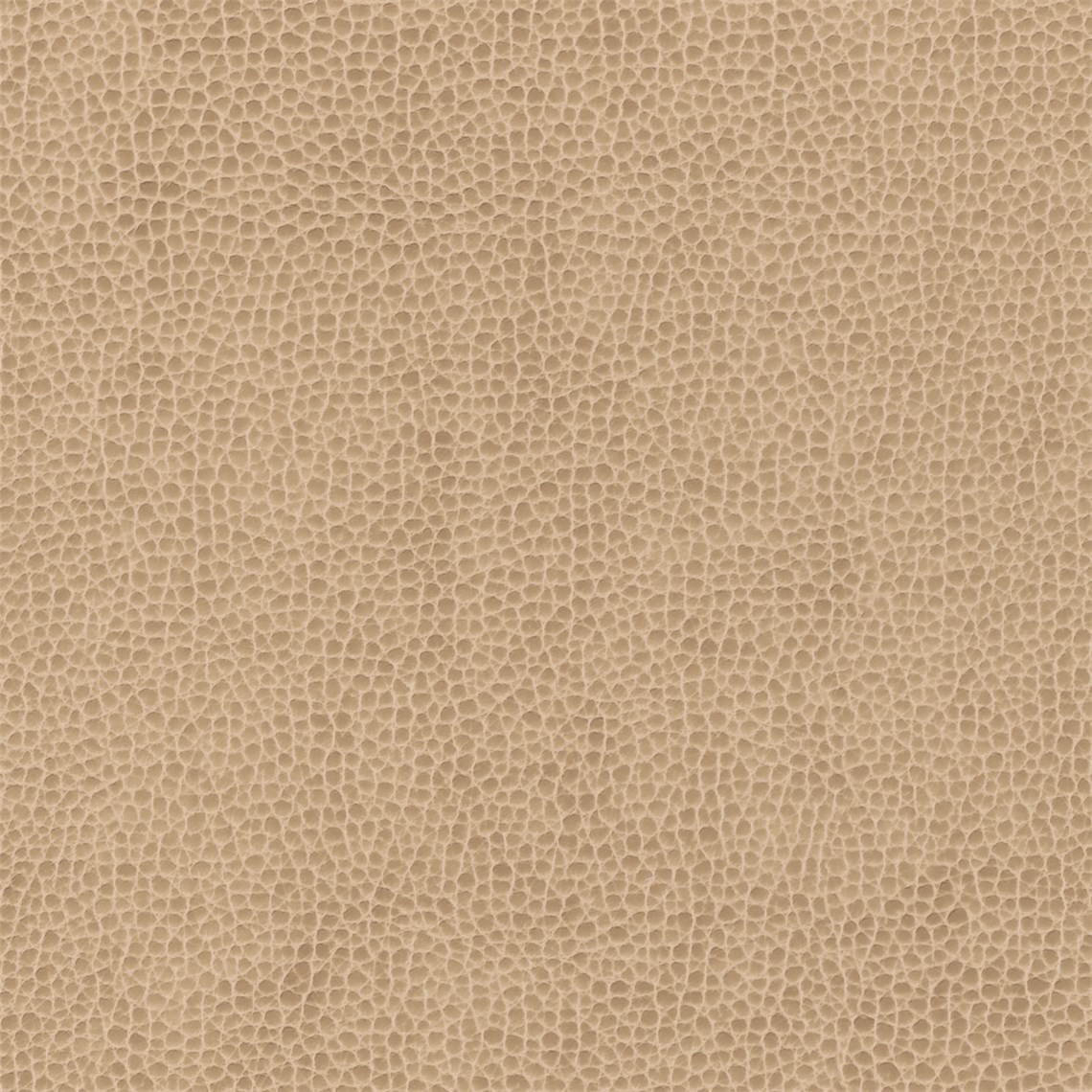Rugged_Dune