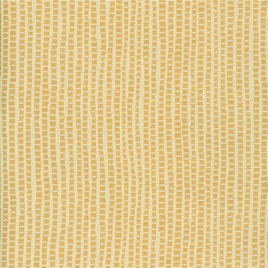 Rx_8003_Perennial