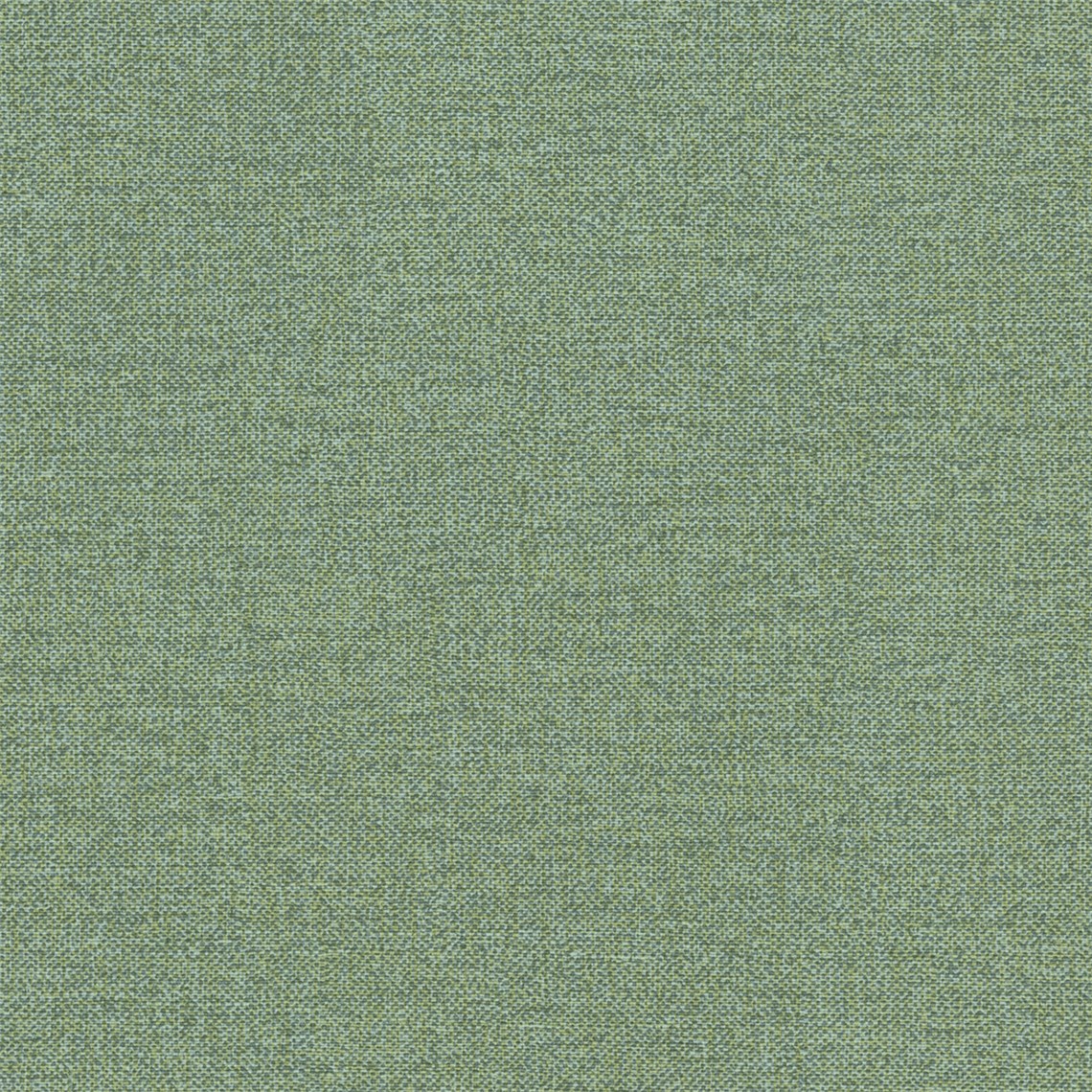 Salk_Forest