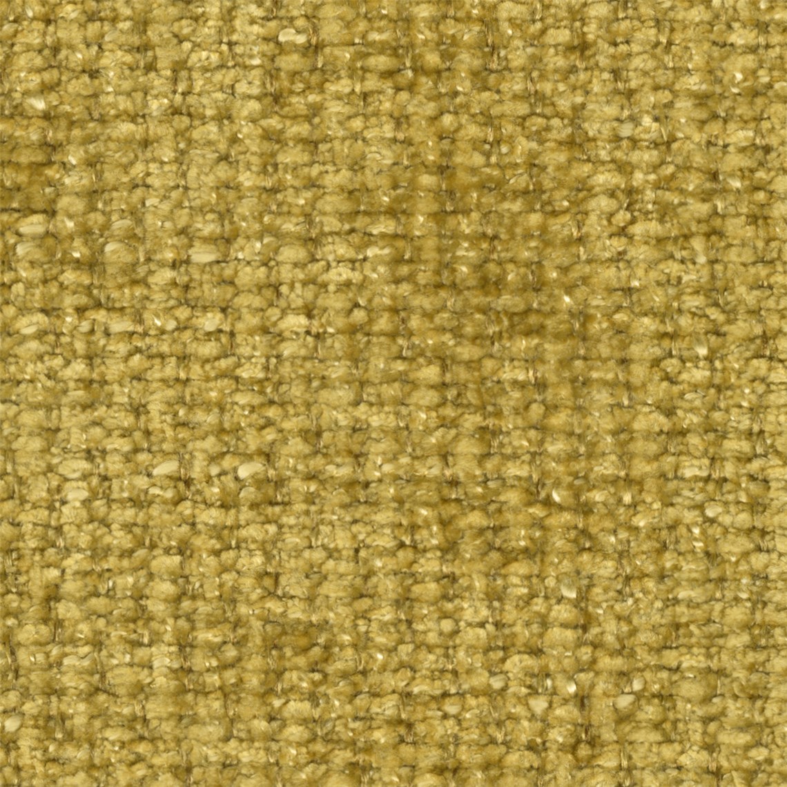 Salter_Mustard