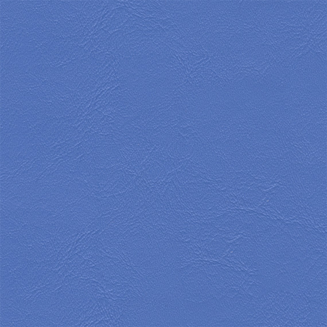 Sightsee_Hydrangea