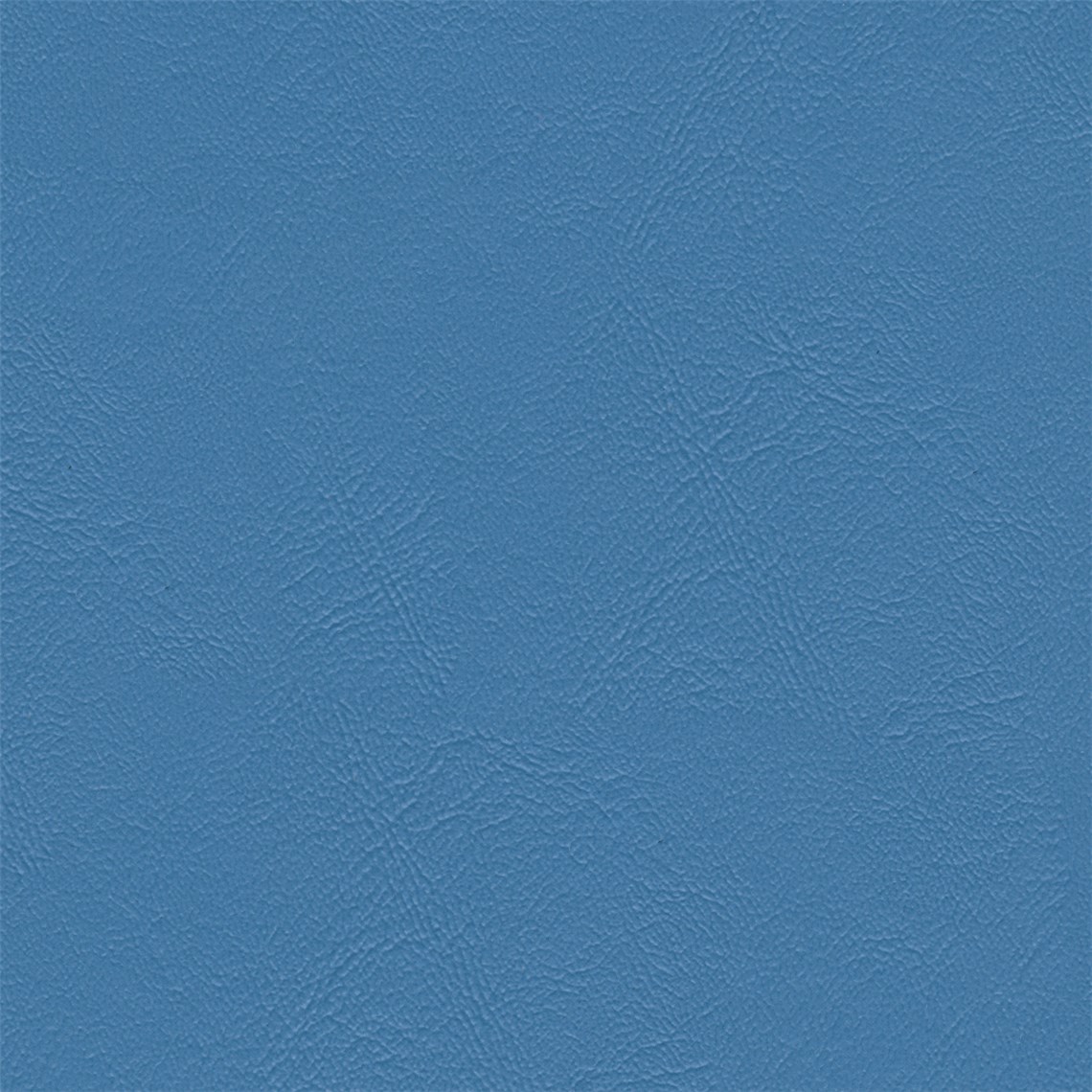 Sightsee_Kingfisher
