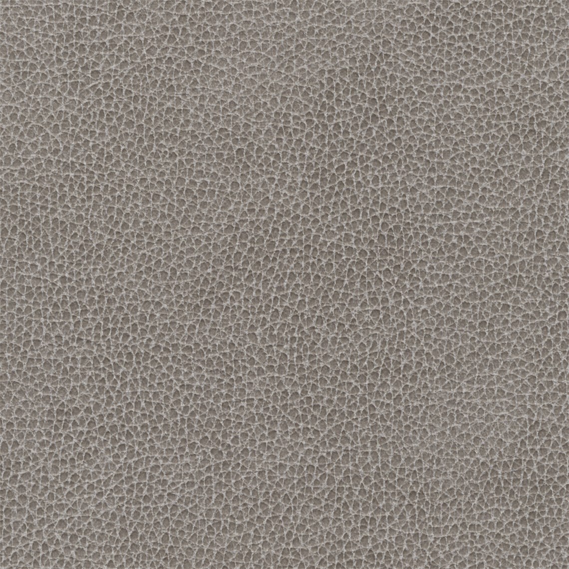 Silicone_Swayed_Flint