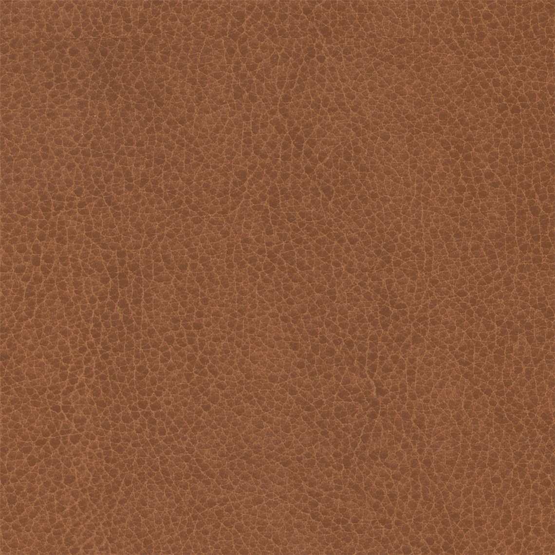 Silicone_Swayed_Wenge