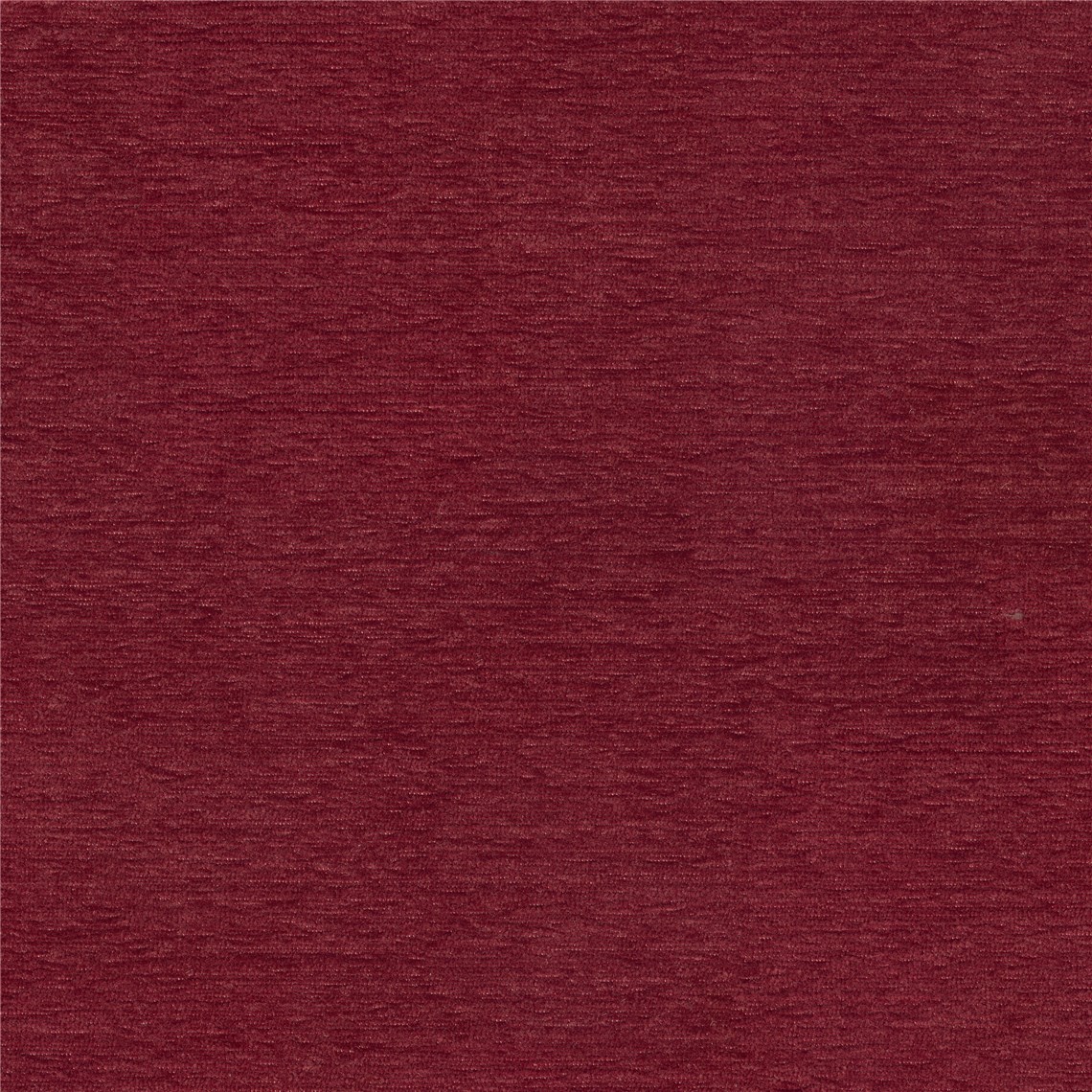Skipper_Cinnamon
