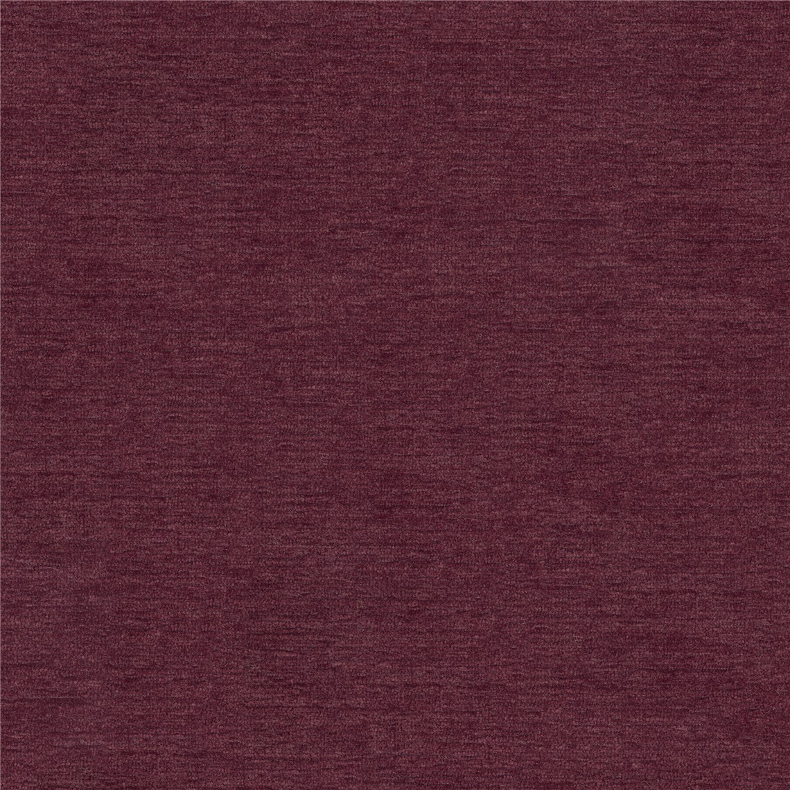 Skipper_Plum
