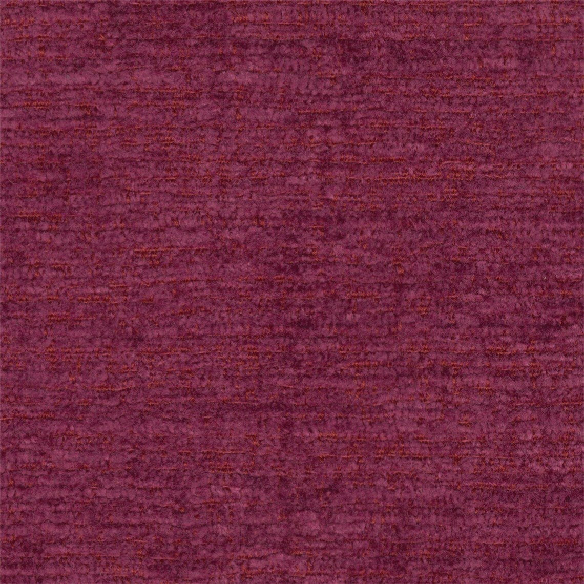 Soft_Spot_Lilac