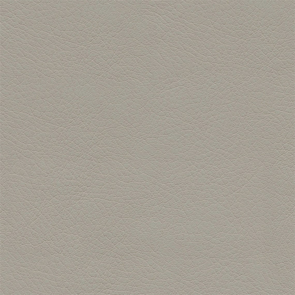 Stagecoach_Hathi_Gray