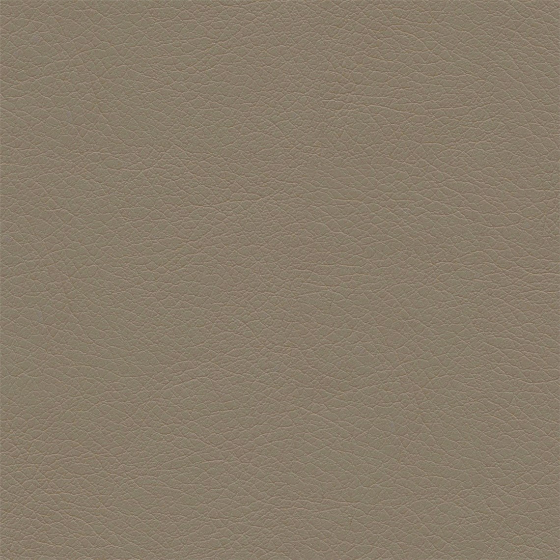 Stagecoach_Neutral