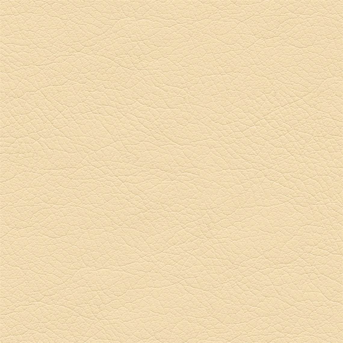 Stagecoach_Nice_Beige