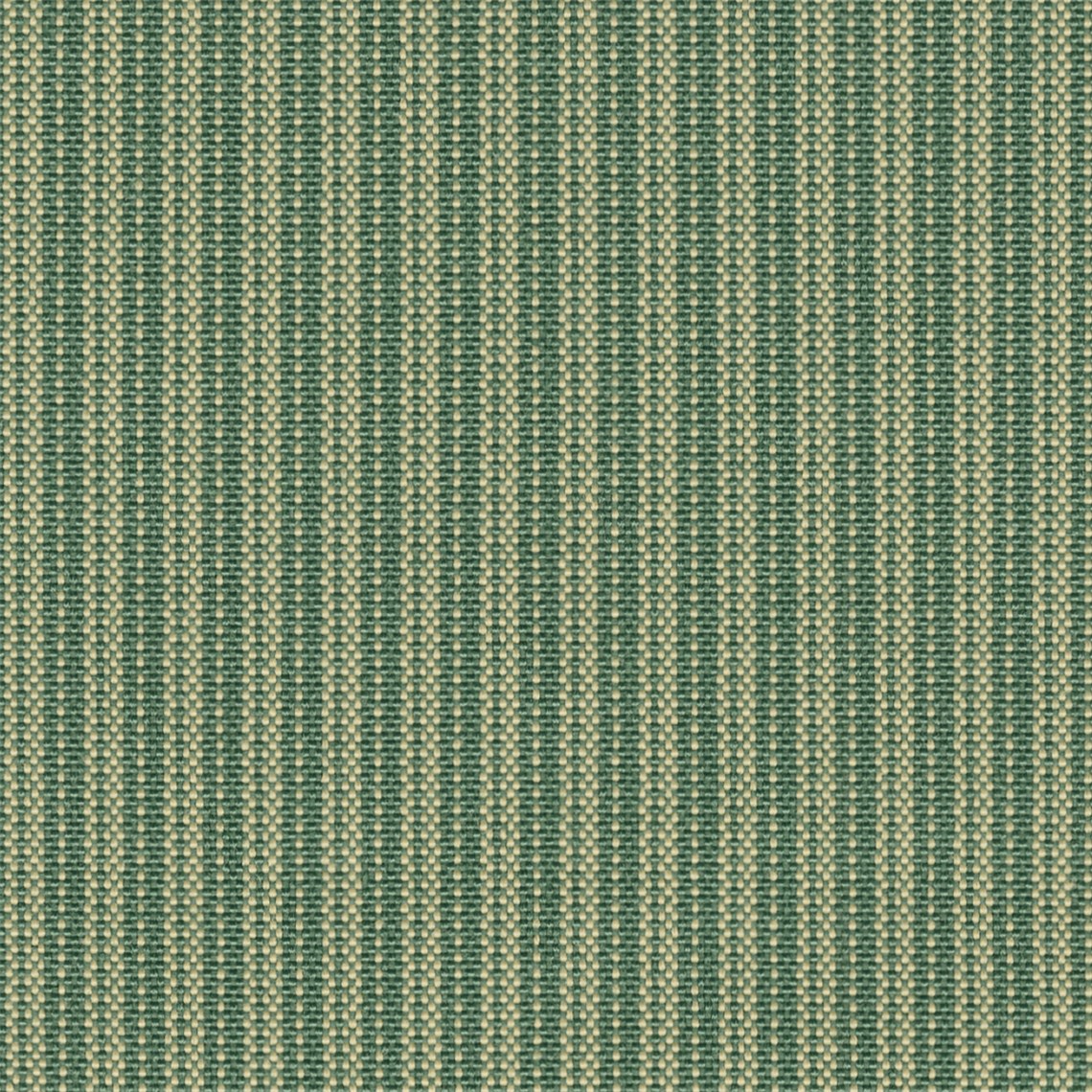 Sunfair_Parsley