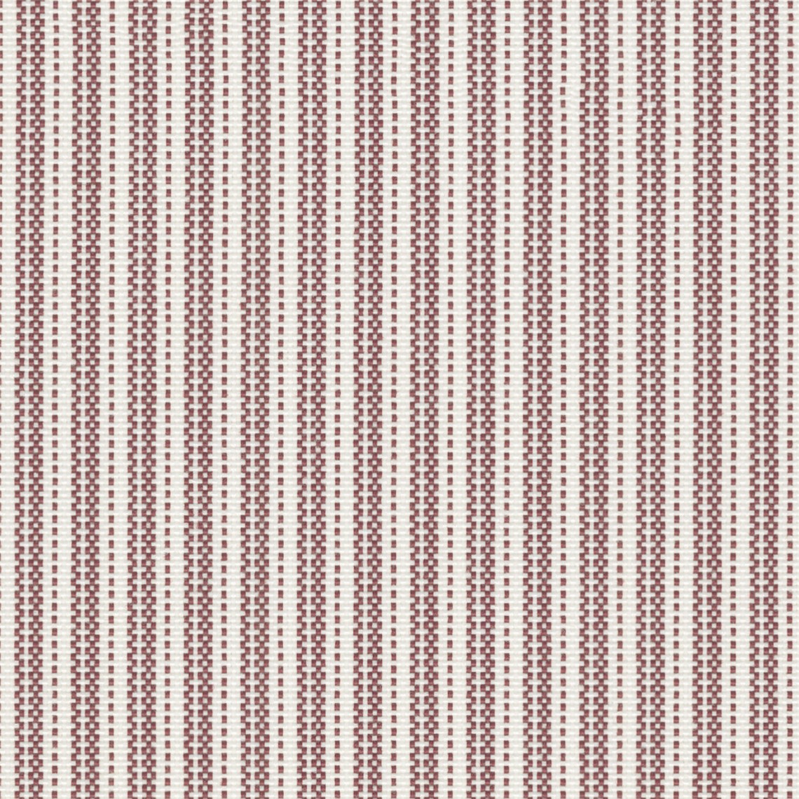 Sunfair_Sumac